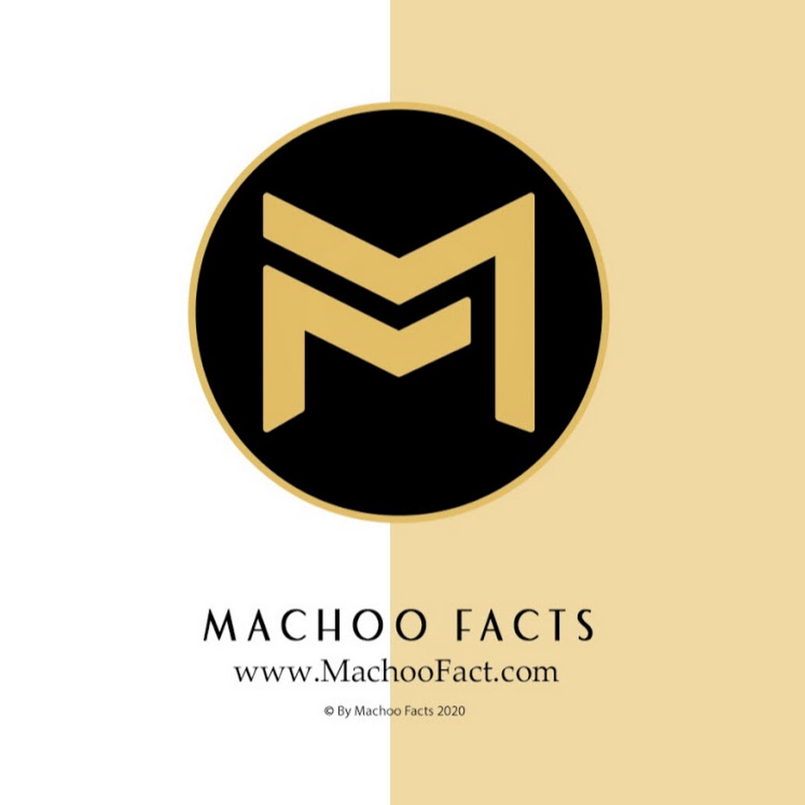 Machoo Fact رمز قناة اليوتيوب