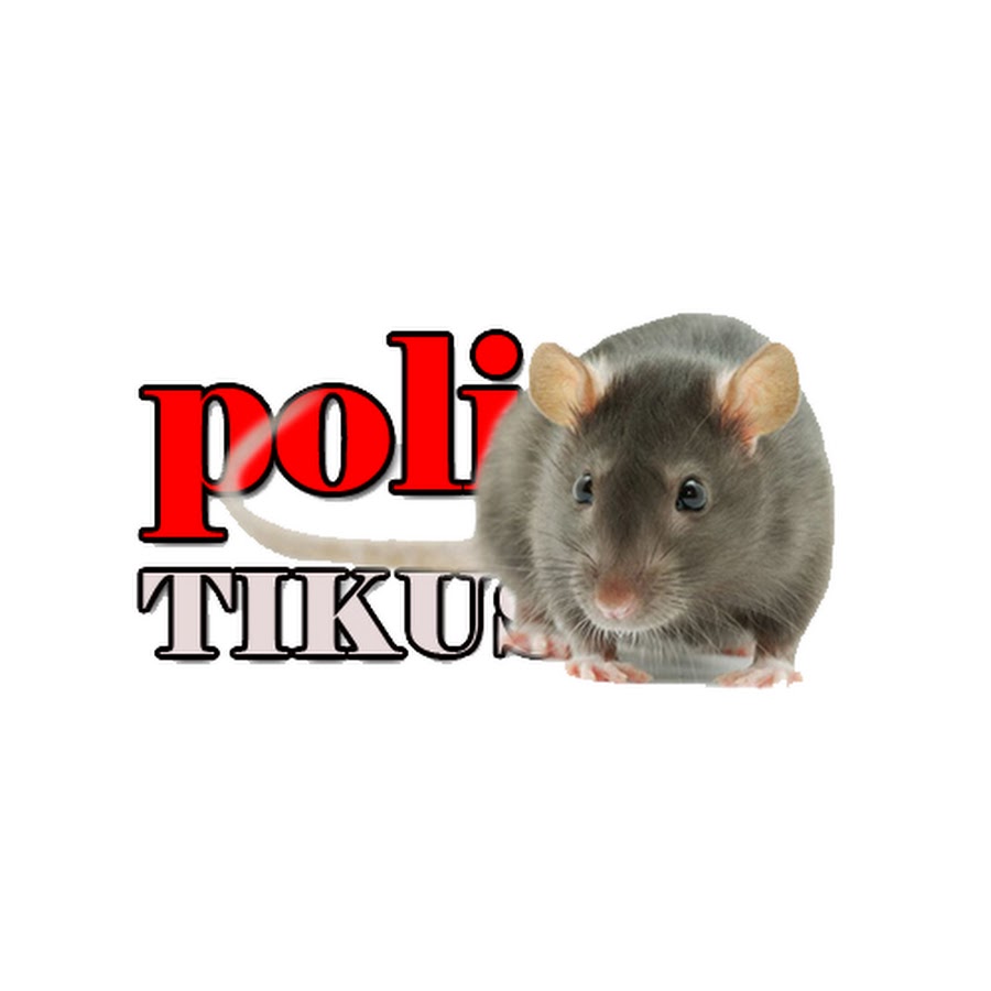 poliTIKUS YouTube channel avatar