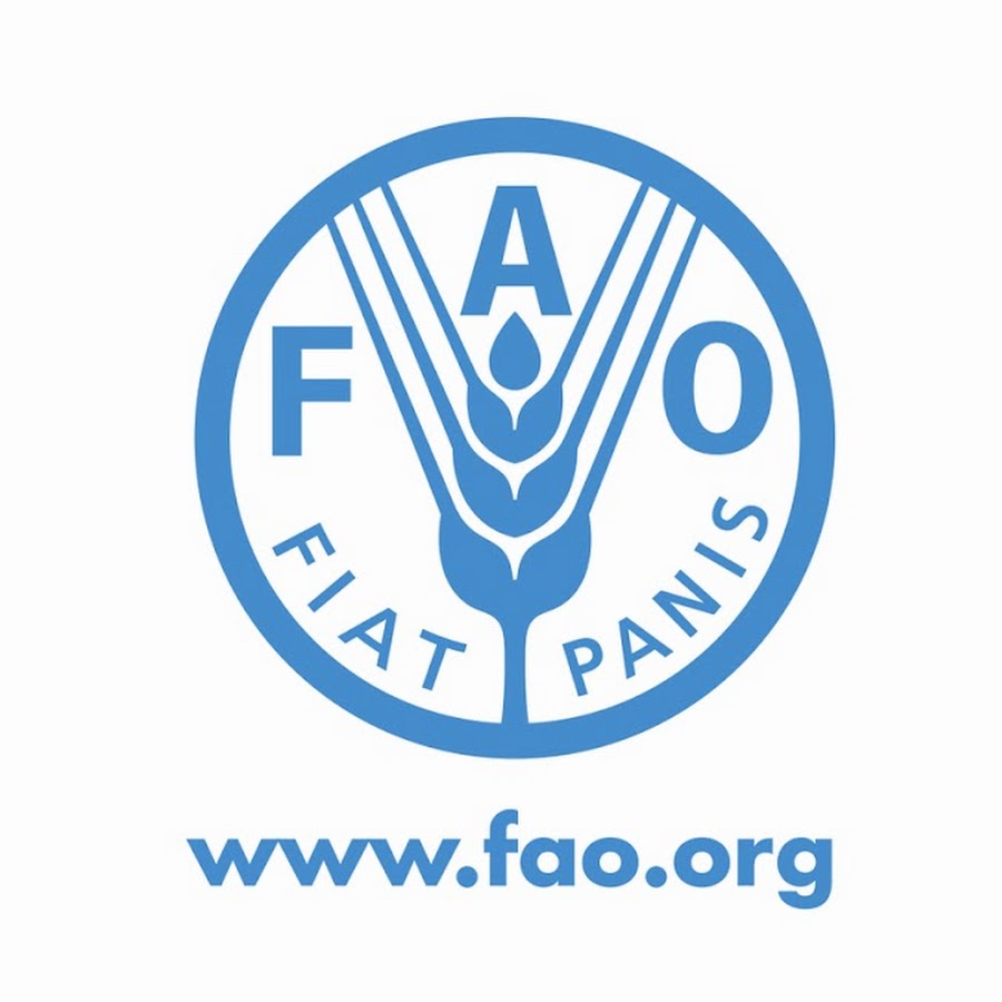 FAOVideo YouTube channel avatar