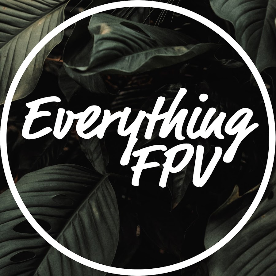 EverythingPOV YouTube-Kanal-Avatar