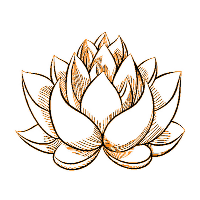 小柯柯 - 網紅的藏寶箱 