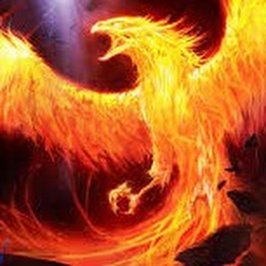 Phoenix Avatar channel YouTube 