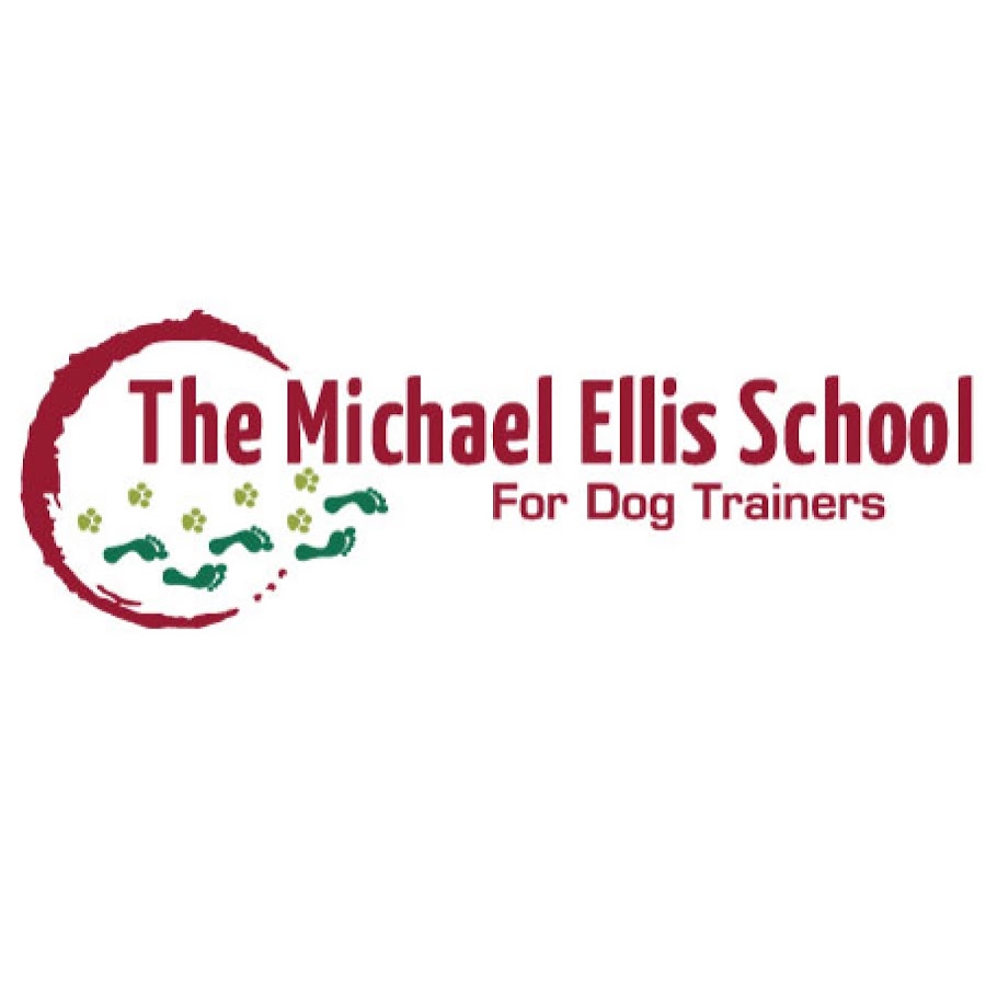Michael Ellis School