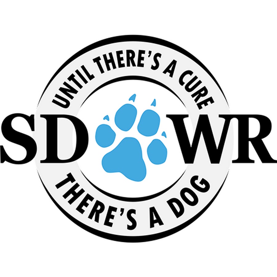 Service Dogs by Warren Retrievers YouTube channel avatar