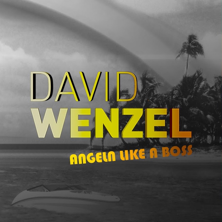 David Wenzel - ANGELN