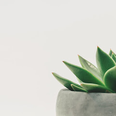 Thumbnail of related channel