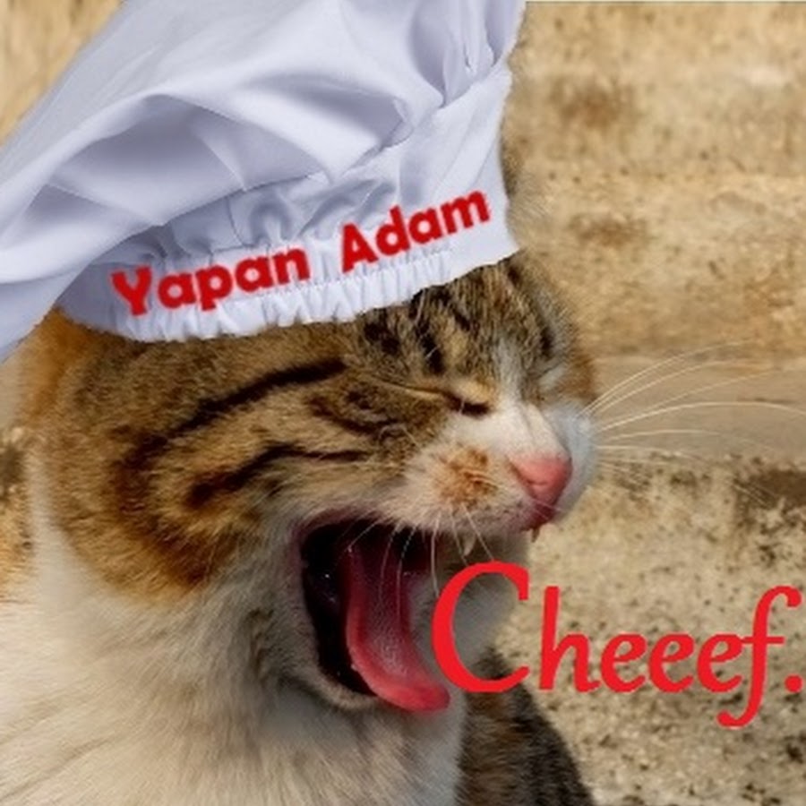 Yapan Adam YouTube channel avatar