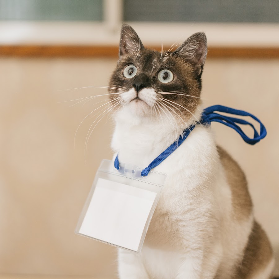 チャンネル暇つぶし Youtube