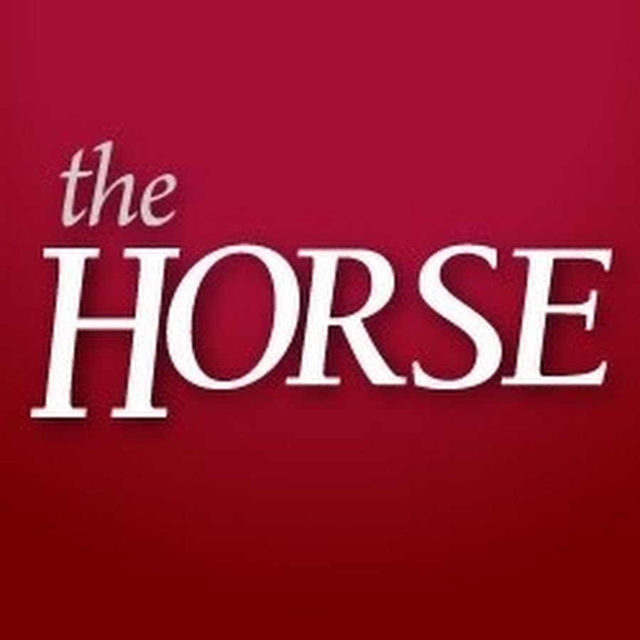 The Horse YouTube channel avatar