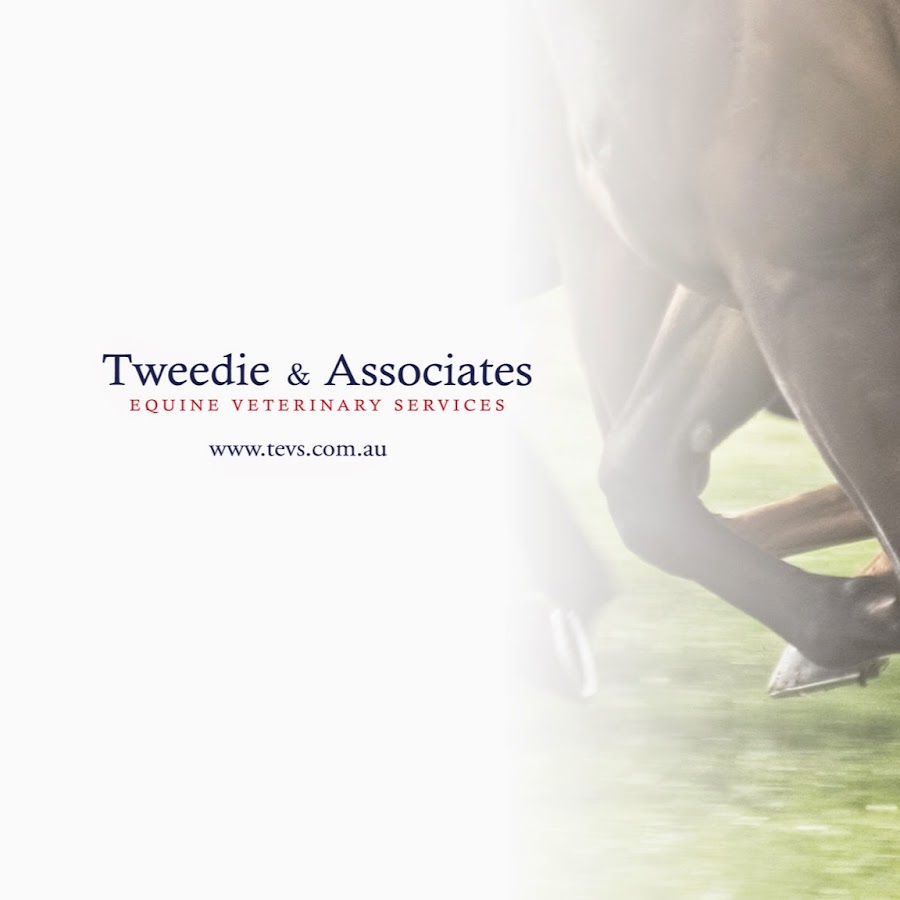 Tweedie & Associates Equine Veterinary Services YouTube-Kanal-Avatar