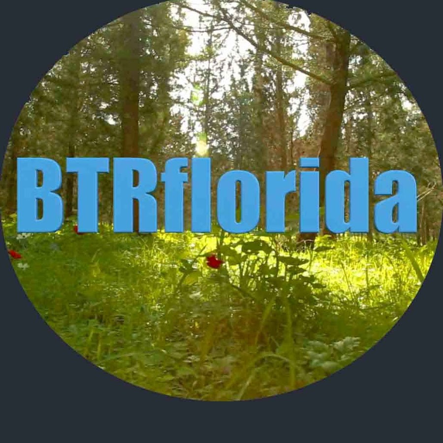 BTRflorida