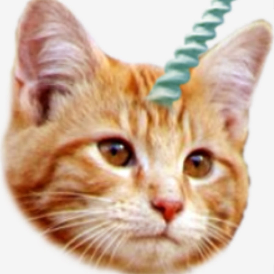 CAT AMORAL YouTube kanalı avatarı