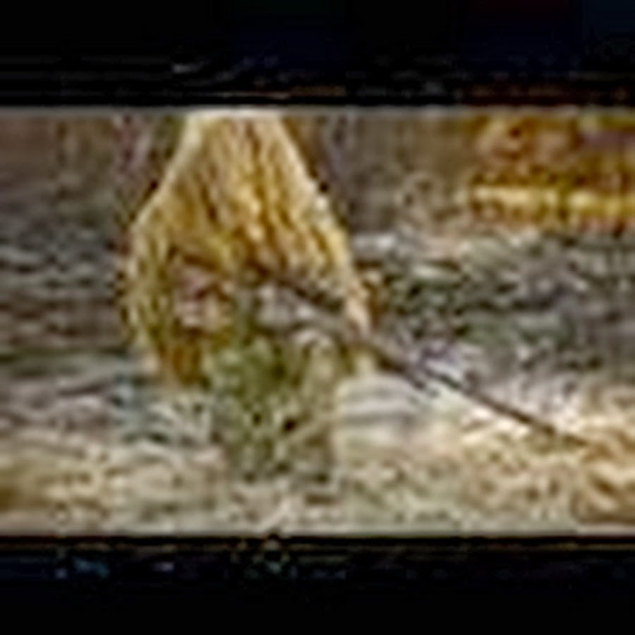 SniperLex1 Avatar del canal de YouTube