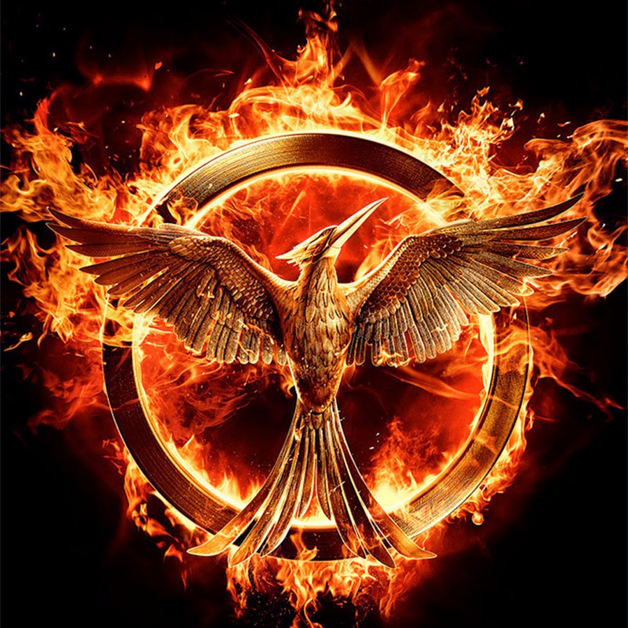 Thg Fansite Youtube