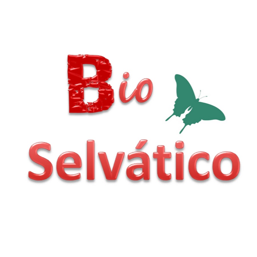 Bio selvÃ¡tico YouTube channel avatar