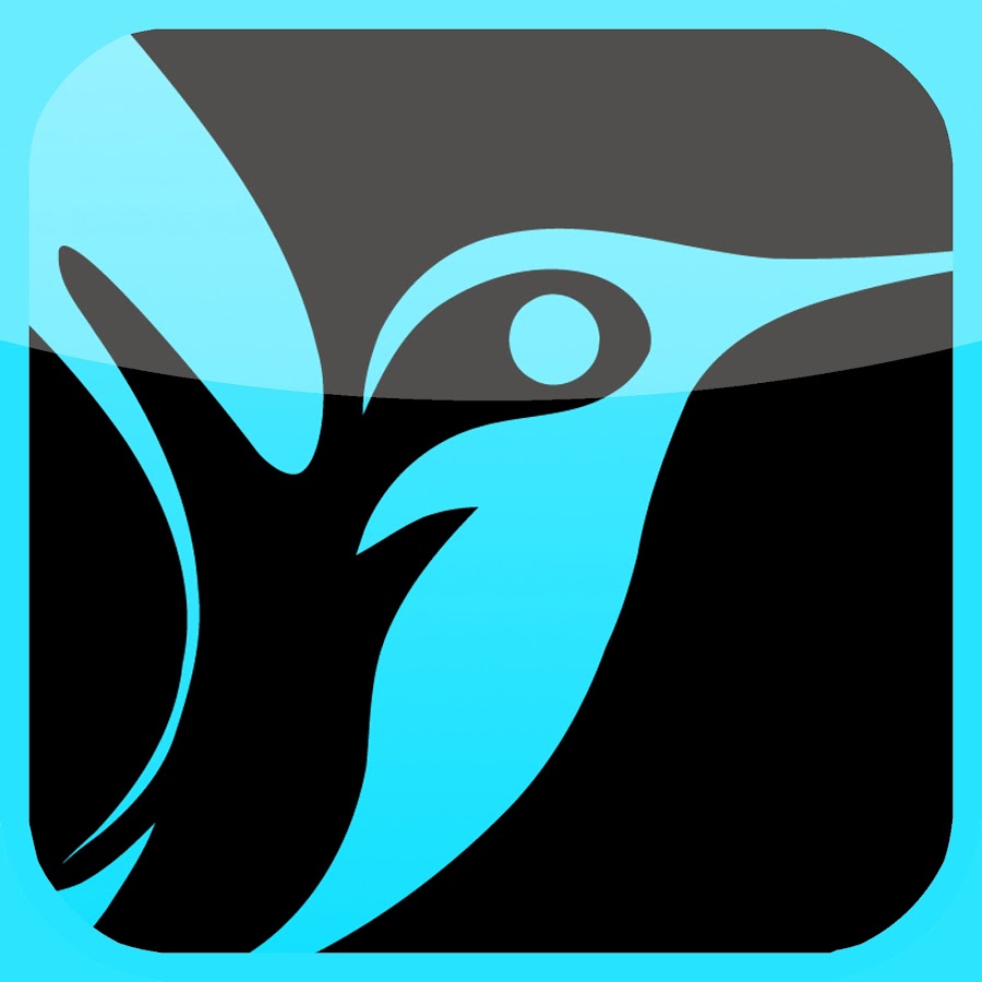 dreambird YouTube channel avatar