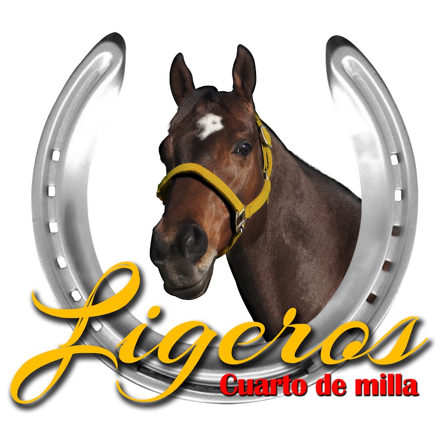 Ligeros Cuarto de Milla YouTube kanalı avatarı