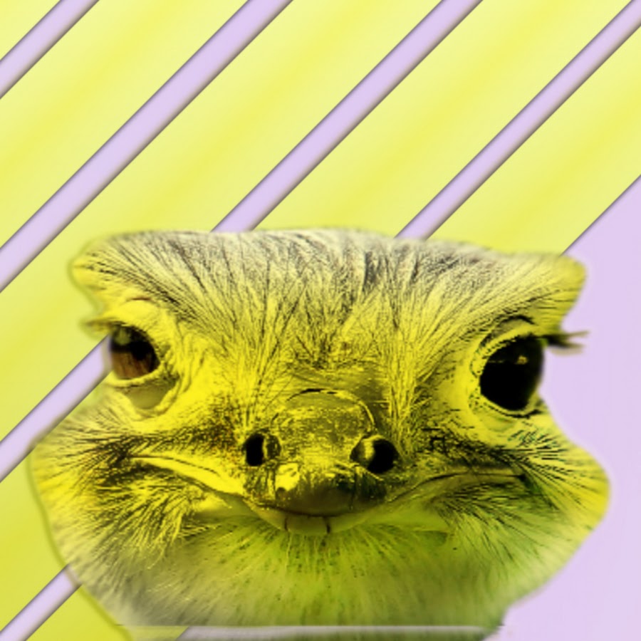 Emu Game رمز قناة اليوتيوب