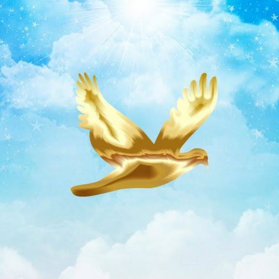 村井大三 Youtube