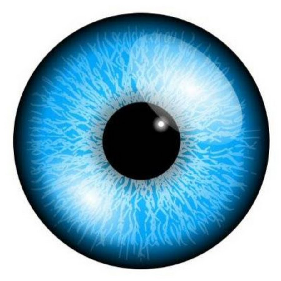 見えちゃう Youtube