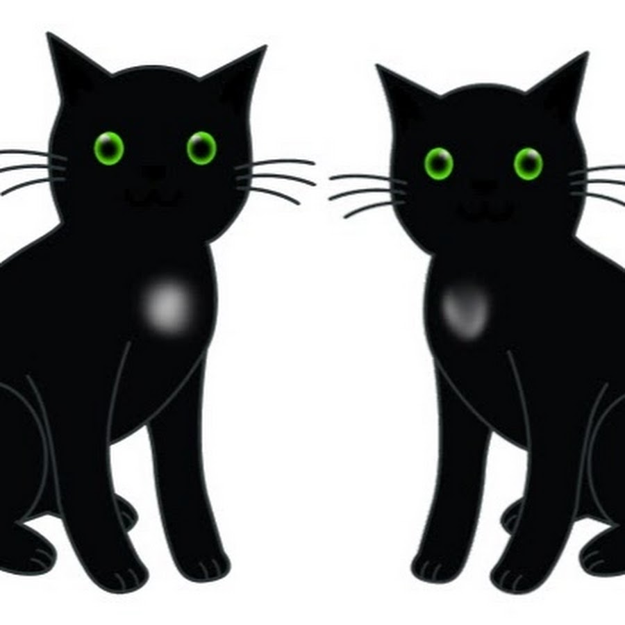 Twin Black Cats YouTube channel avatar