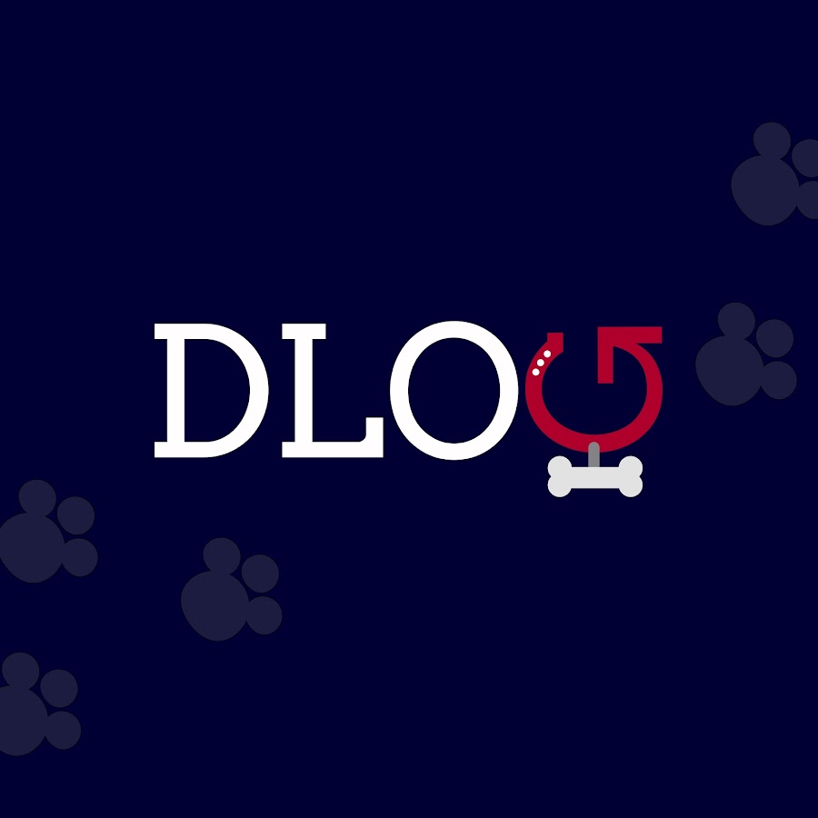 DLOG YouTube channel avatar