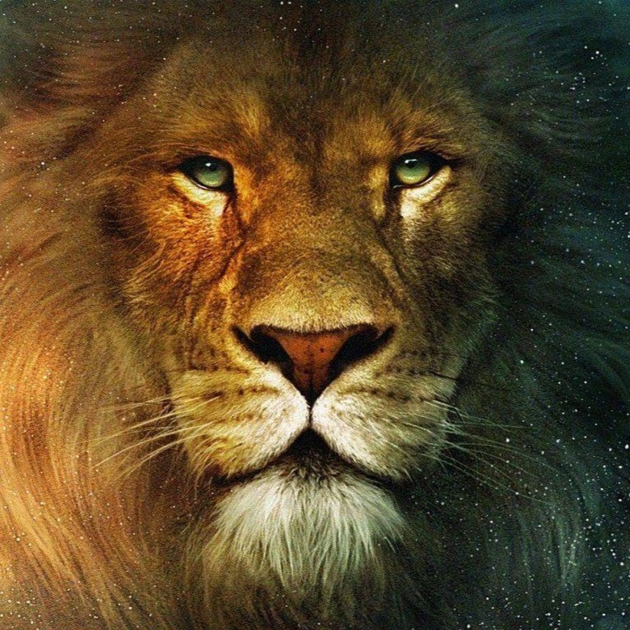 Lion's World YouTube channel avatar