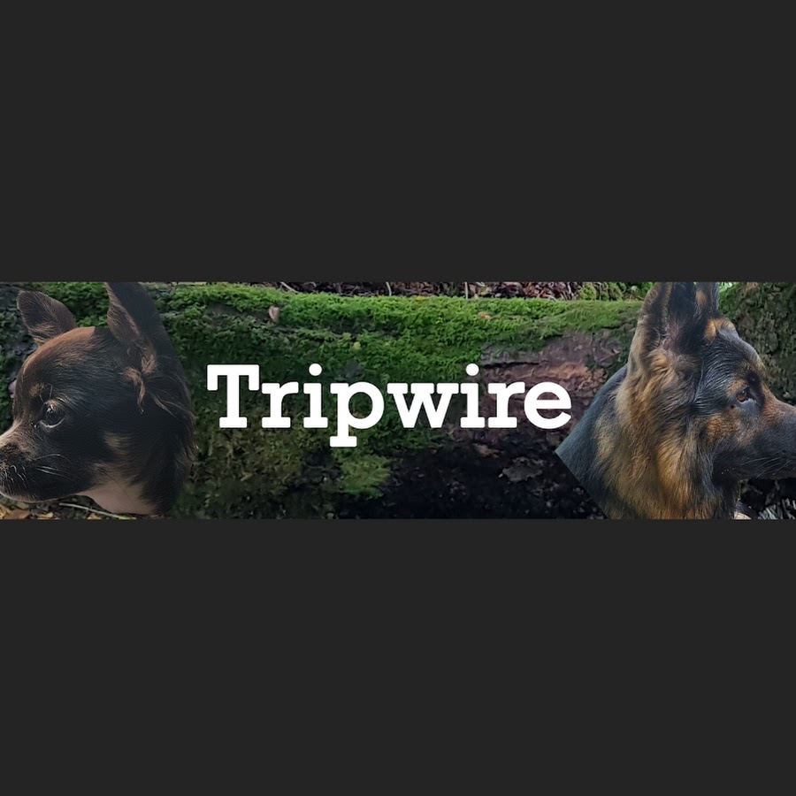 Tripwire YouTube channel avatar