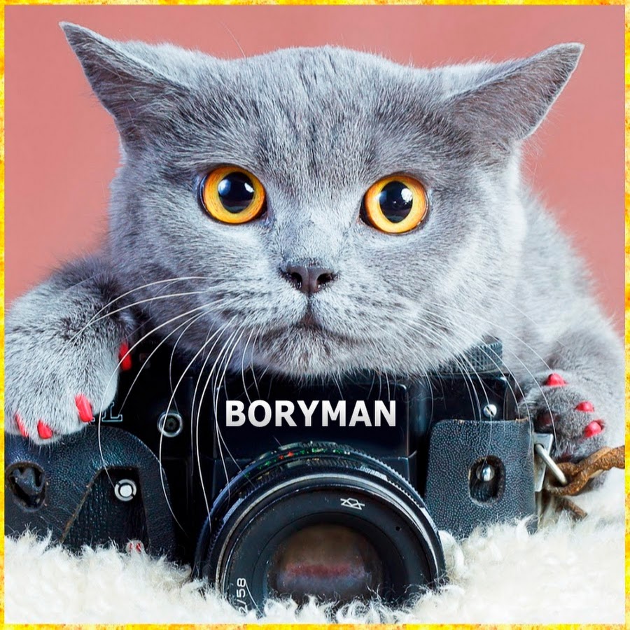 BORYMAN TV YouTube channel avatar