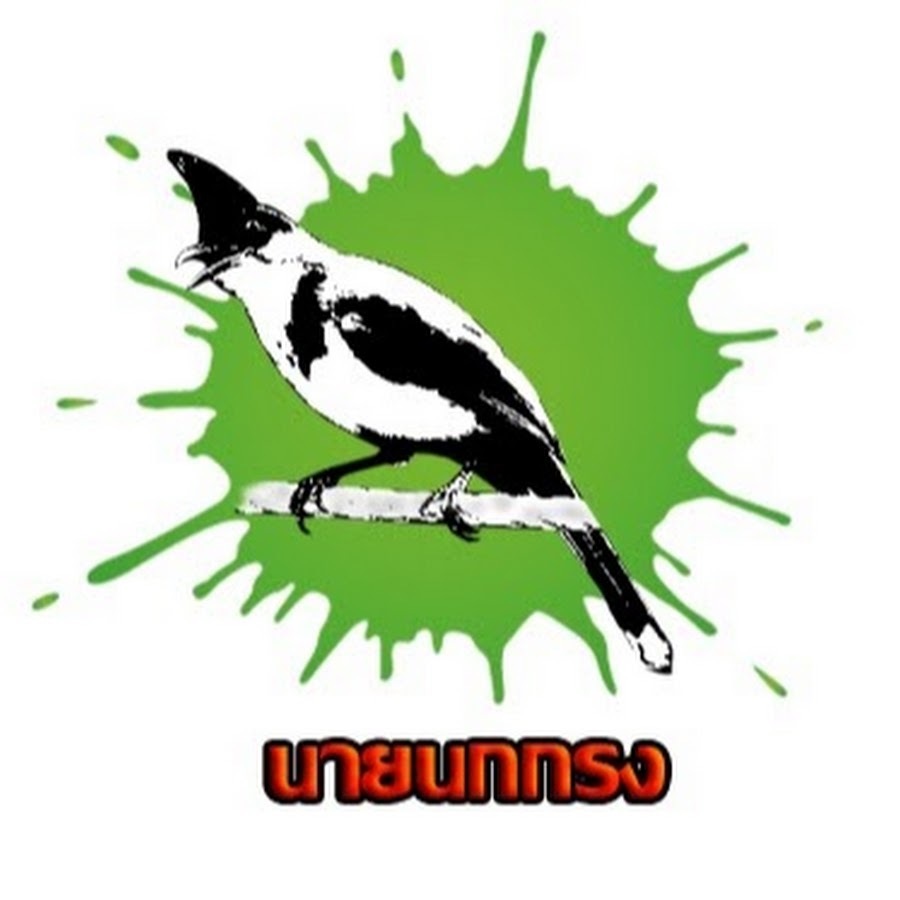 Thailand Bird Clip YouTube kanalı avatarı