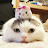 냥냥이