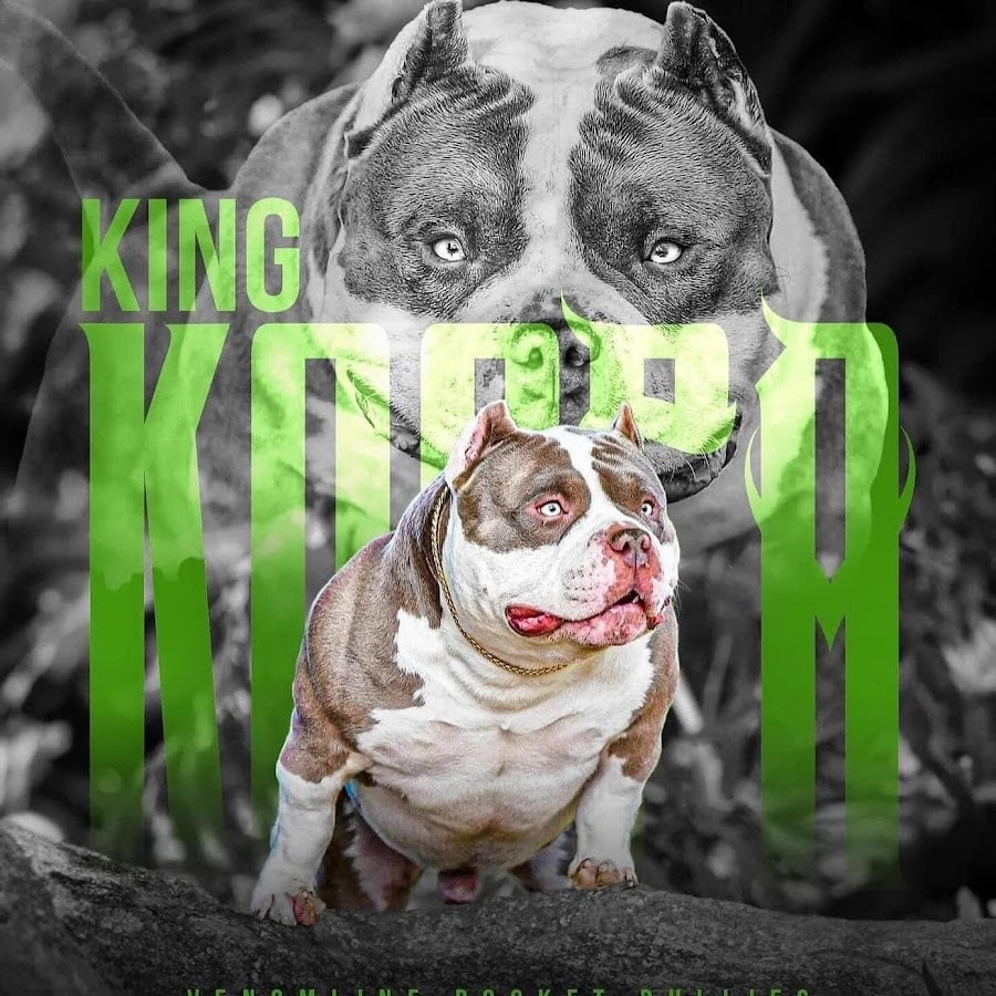 Venomline - Texas Size Bullies رمز قناة اليوتيوب