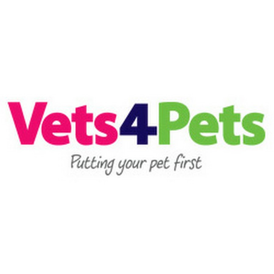Vets4Pets YouTube channel avatar