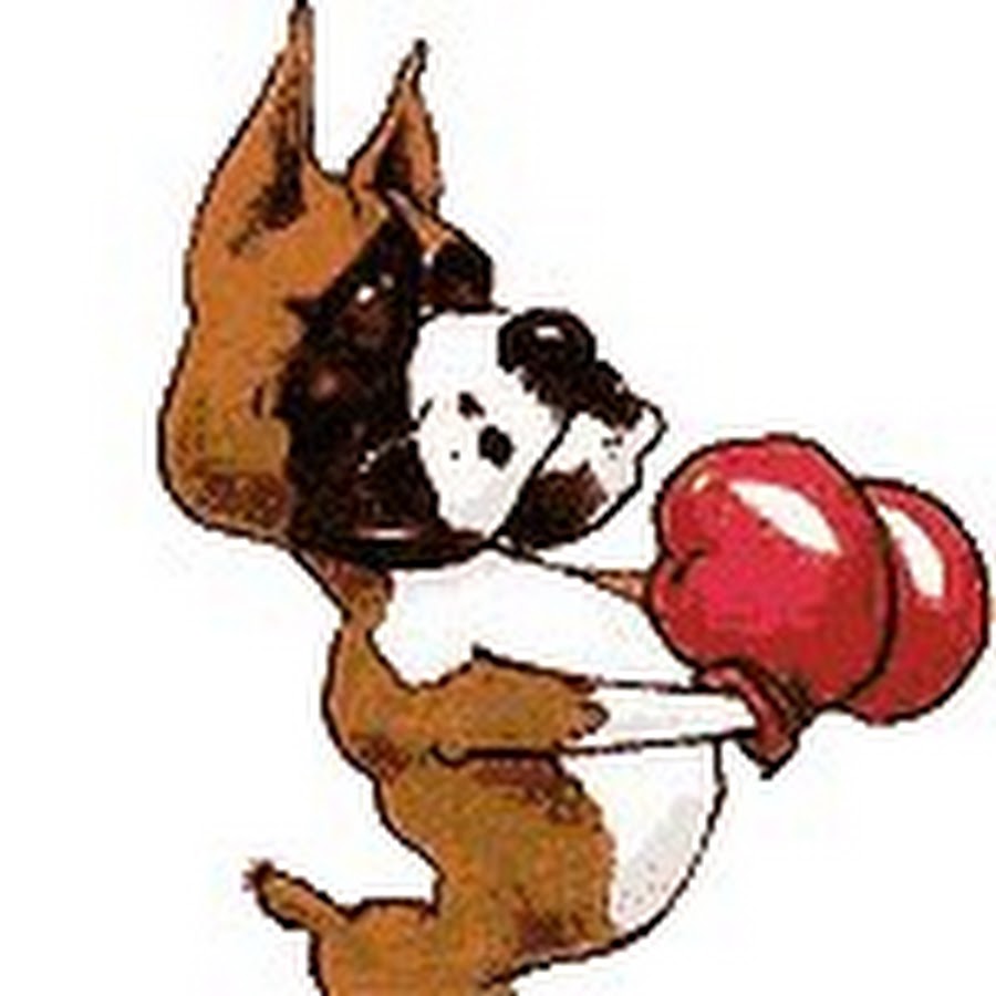 STAR WARS BOXER DOGS