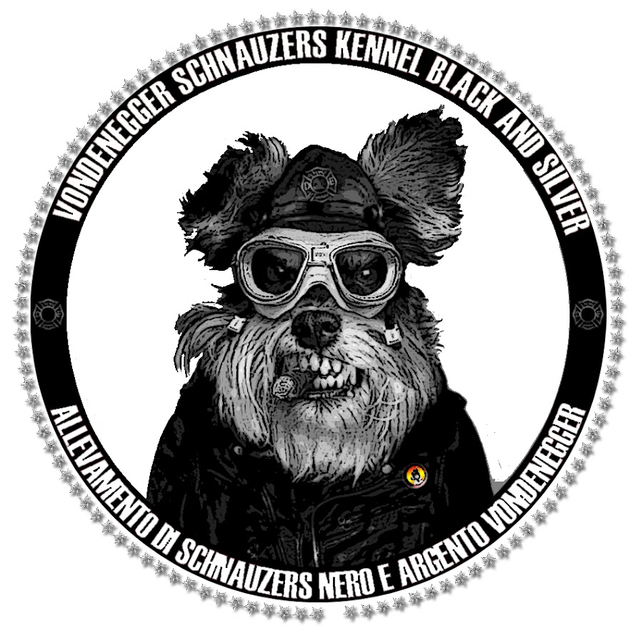 Vondenegger Schnauzers Kennel Avatar de chaîne YouTube