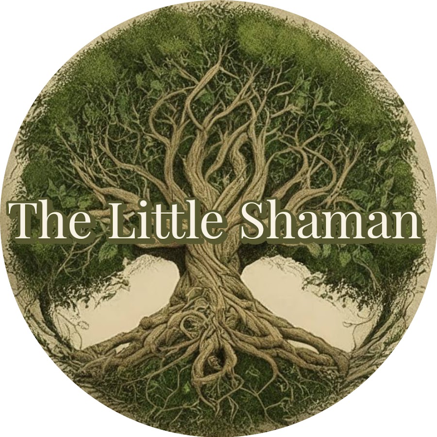 The Little Shaman YouTube channel avatar