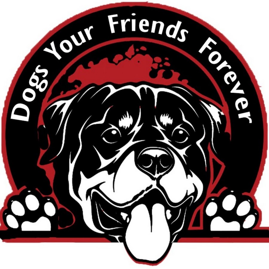 Dogs Your Friends Forever رمز قناة اليوتيوب