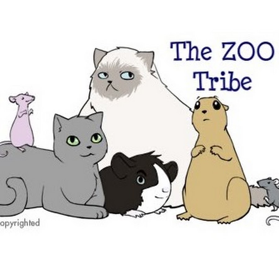 Angela 'Zoo' Weeks YouTube channel avatar