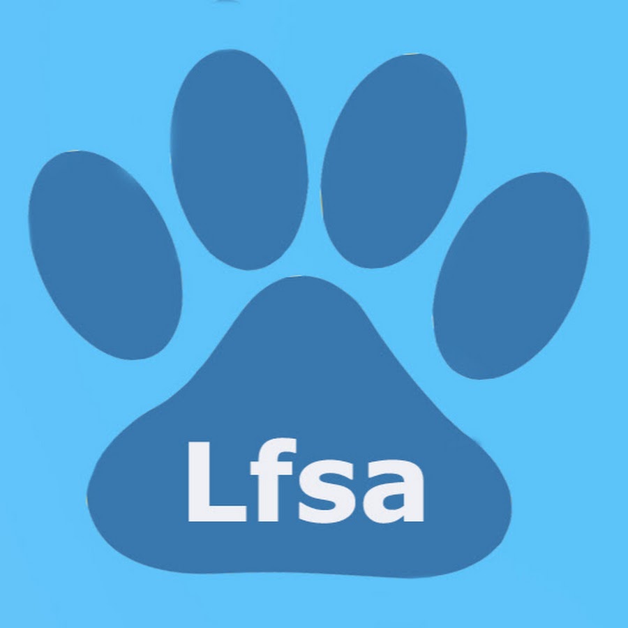 Lfsa videos YouTube channel avatar