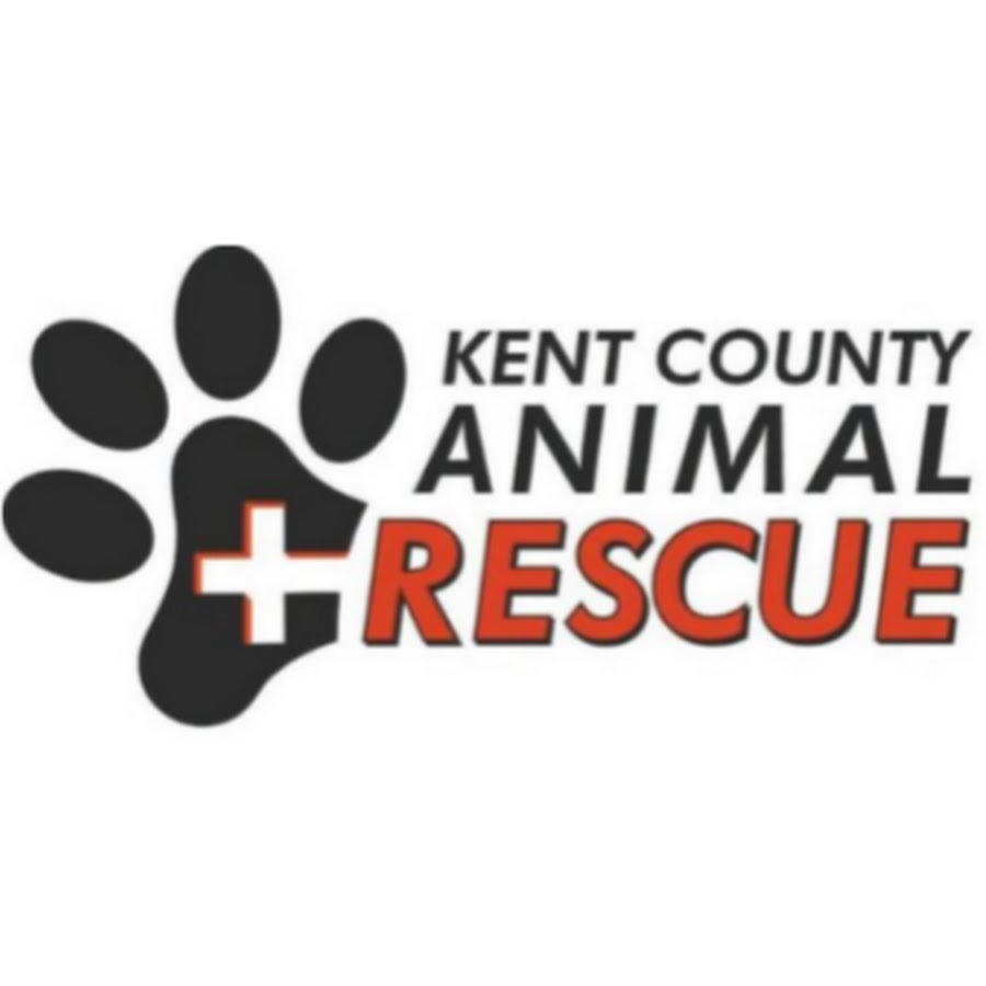 Kent County Animal Rescue YouTube channel avatar