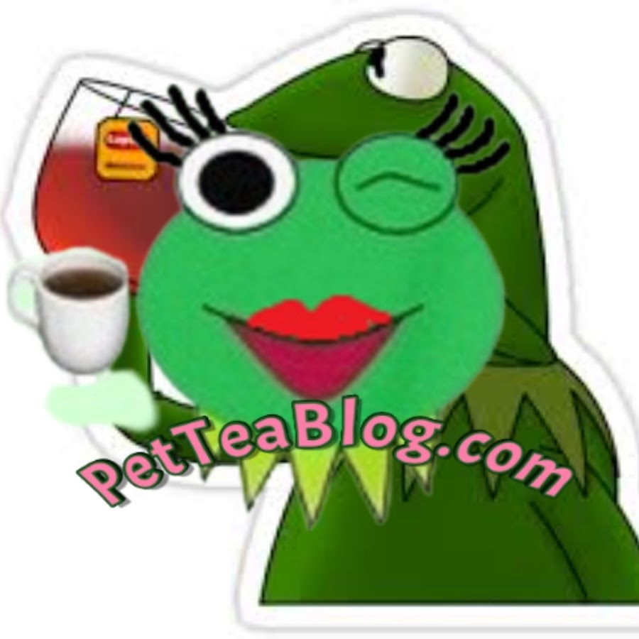 PetTeaBlog YouTube channel avatar