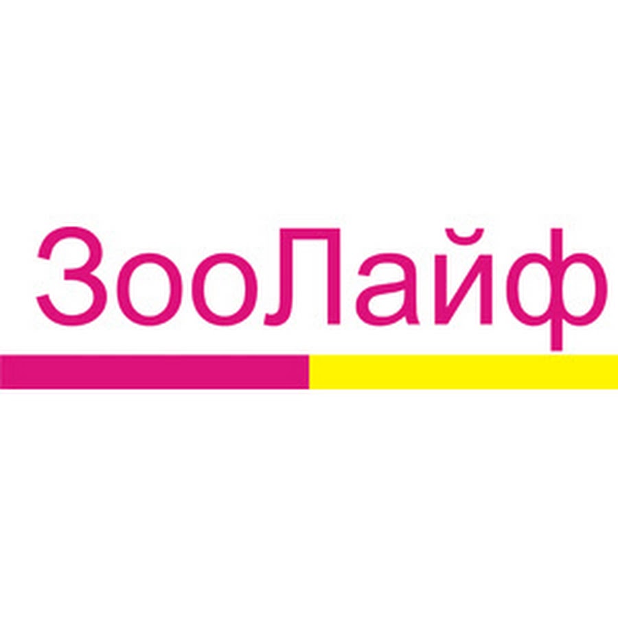 Зоолайф 74 Интернет Магазин