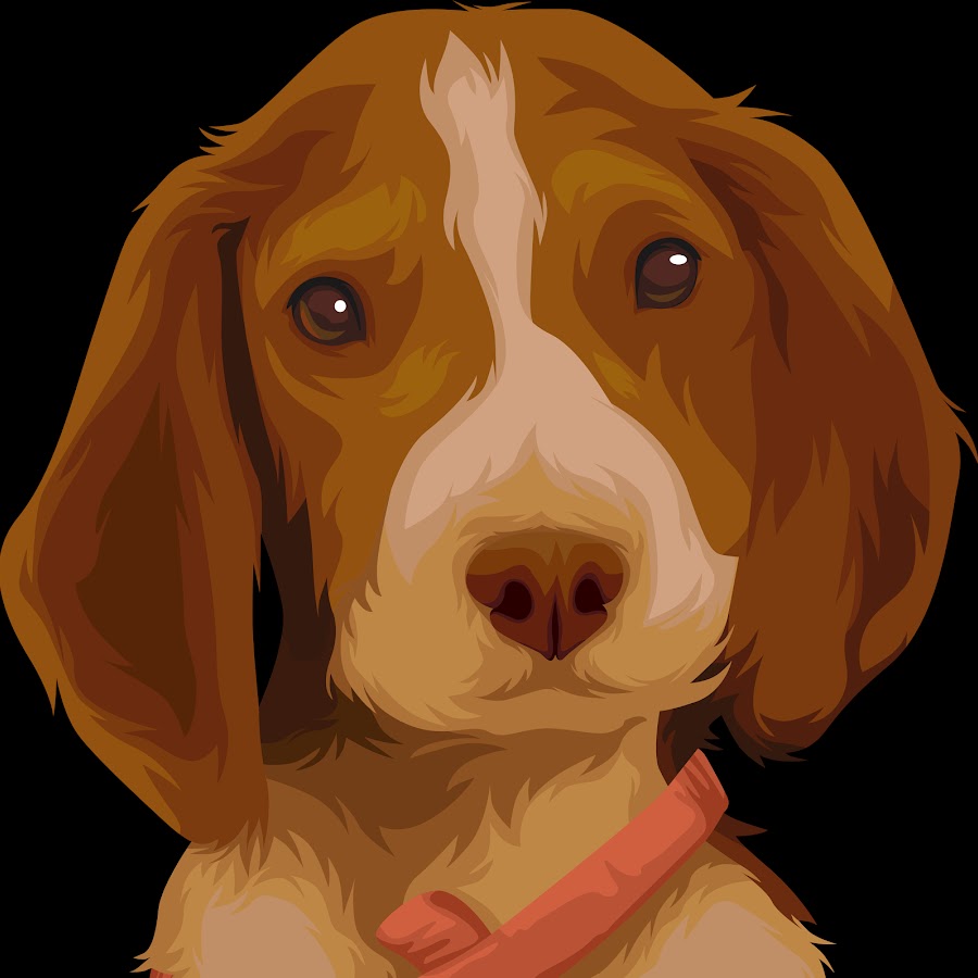 Bailey The Beagle YouTube channel avatar