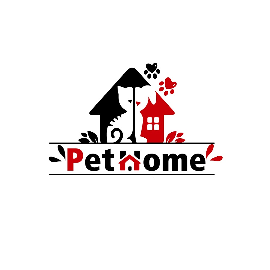 PET HOME YouTube channel avatar