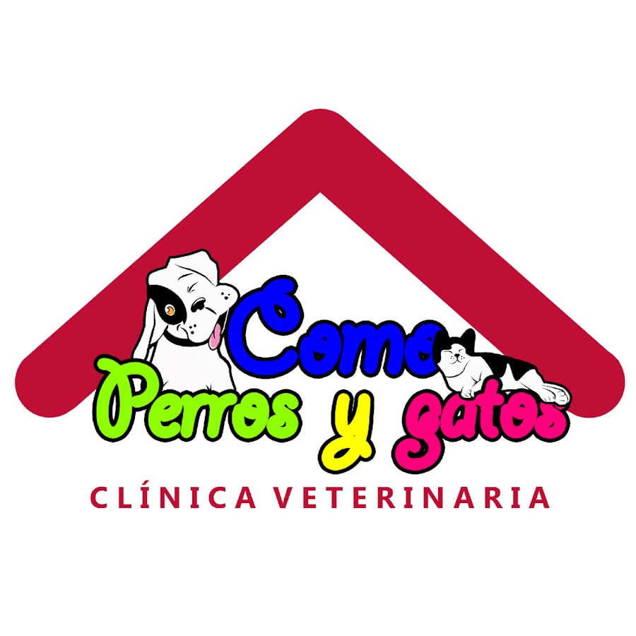 Como Perros y Gatos YouTube channel avatar