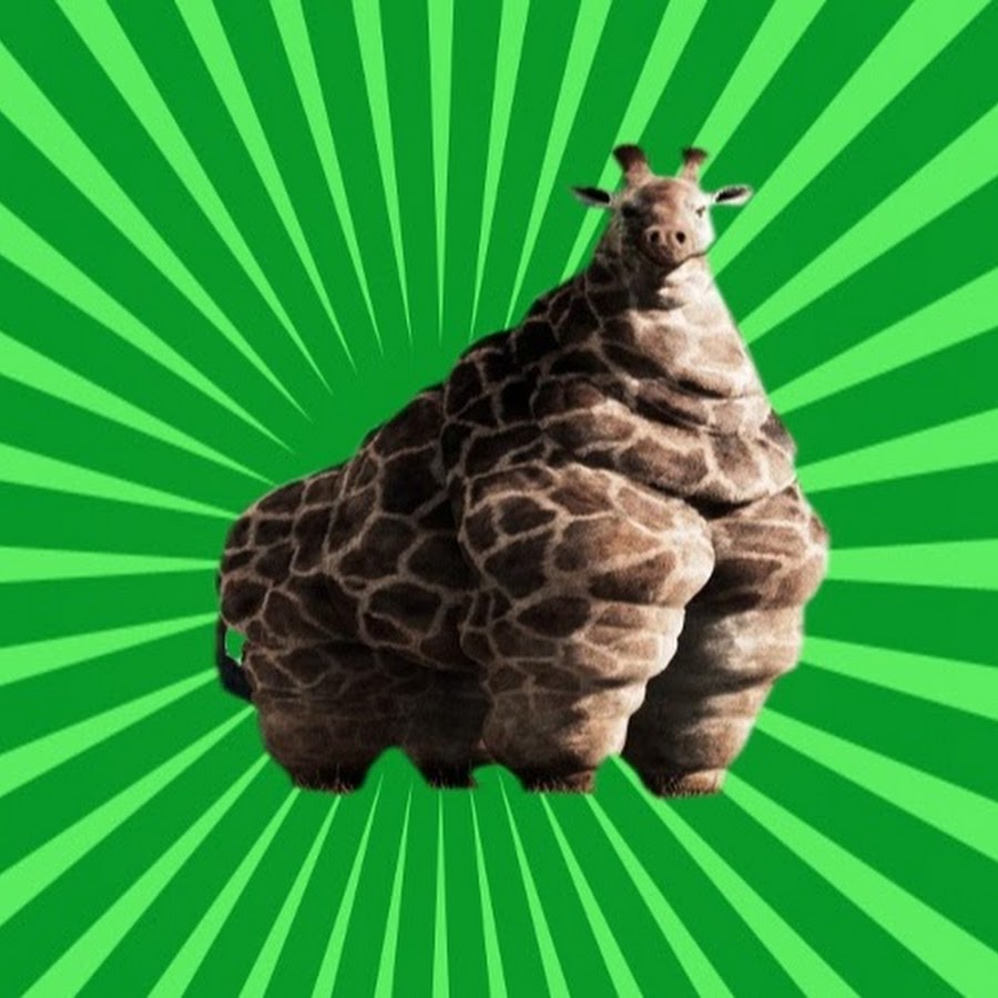 Obese Giraffe YouTube kanalı avatarı