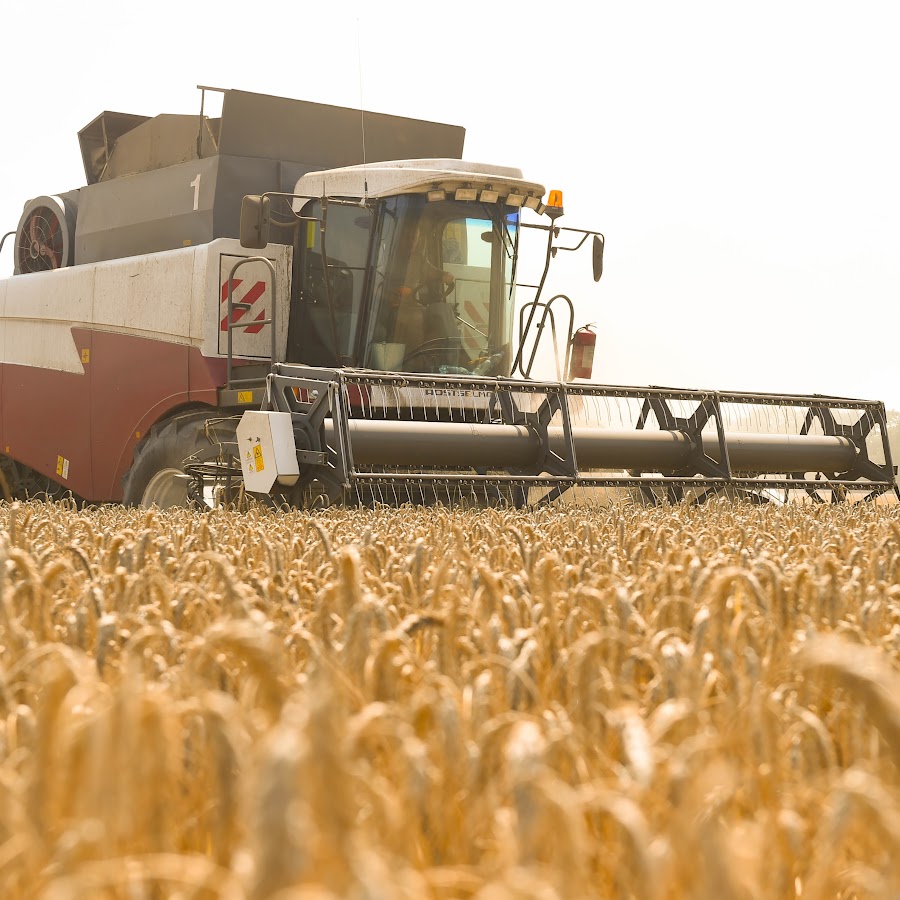 грязинский агрокомплекс. агрокомплекс им ткачева логотип. выселки краснодарский край агрокомплекс. агрокомплекс выселковский и ткачев. кущевская агрокомплекс.