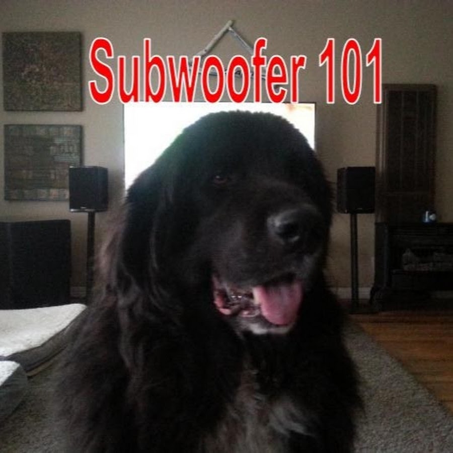 Subwoofer 101 YouTube channel avatar