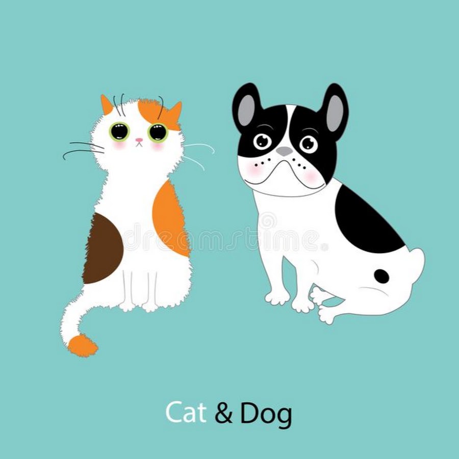 Dog & Cat Аватар канала YouTube