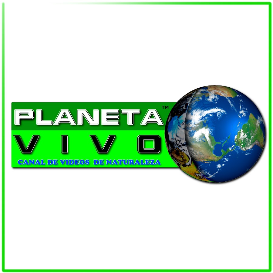 PLANETA VIVO YouTube kanalı avatarı